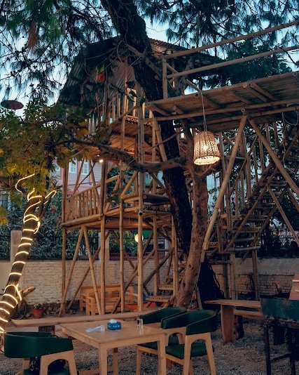 Jacaranda Tree Garden in Bakhundol, Lalitpur - restaurant photo 1